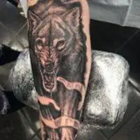 6686体育app钻石作者Walter