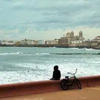 6686体育app中级作者Xenia