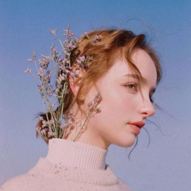 6686体育app合作伙伴Harold