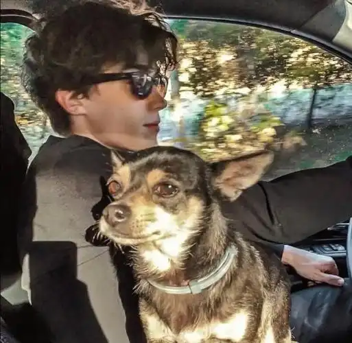 6686体育app官方作者无名先生