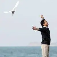 6686体育app铁牌作者Paul