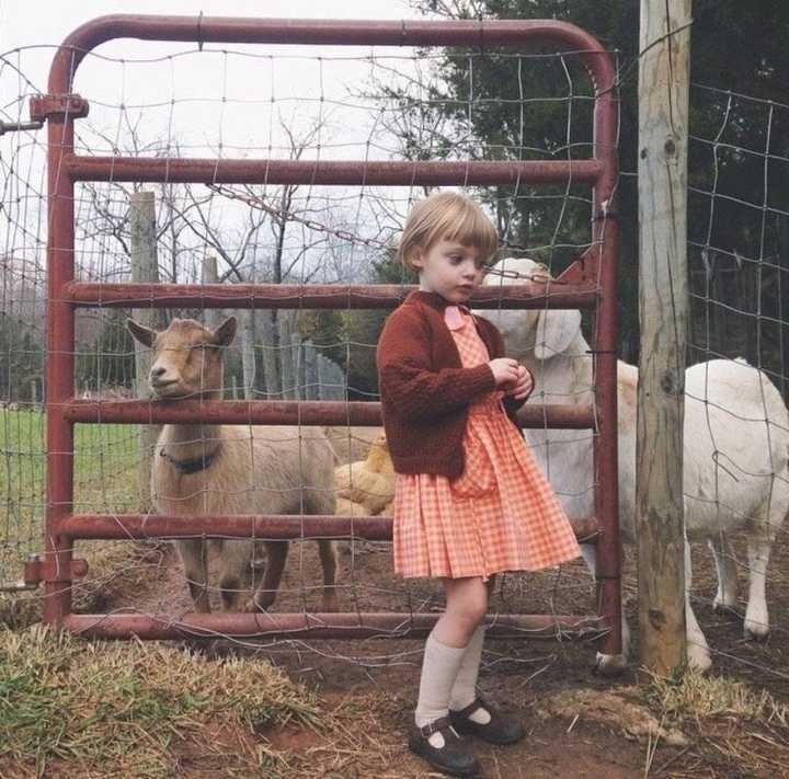 6686体育app银牌作者Ava