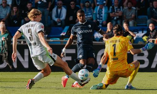 波鸿 vfl 沃尔夫斯堡