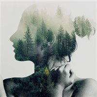 6686体育特邀作者Ryan