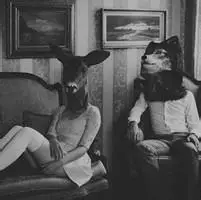 6686体育高级作者Jagger